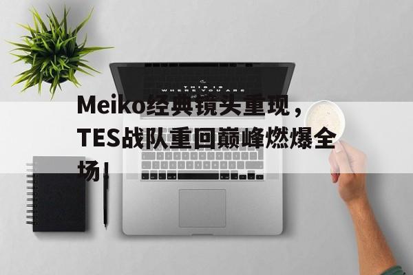 IM电竞平台首页-Meiko经典镜头重现，TES战队重回巅峰燃爆全场！